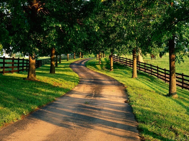 24小时自动充值的短信验证码轰炸平台